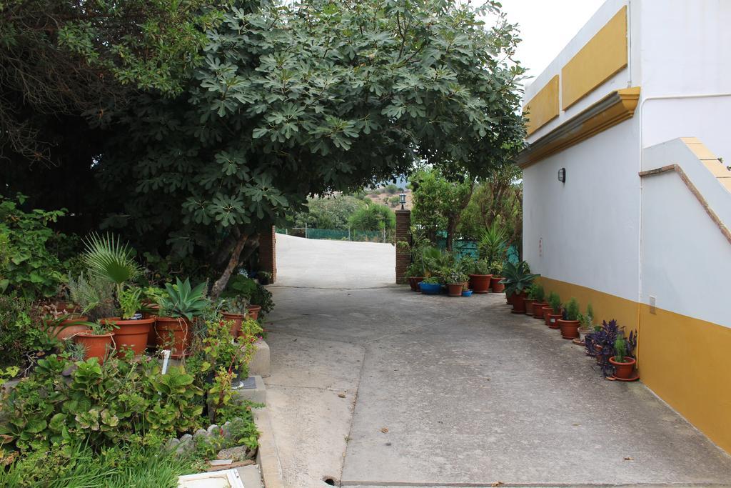 Apartamentos Bolonia Paraiso Exterior photo